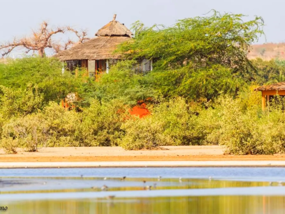 Hôtel Lodge Dalaal Diam à louer – Expérience écologique près de Saly et Somone