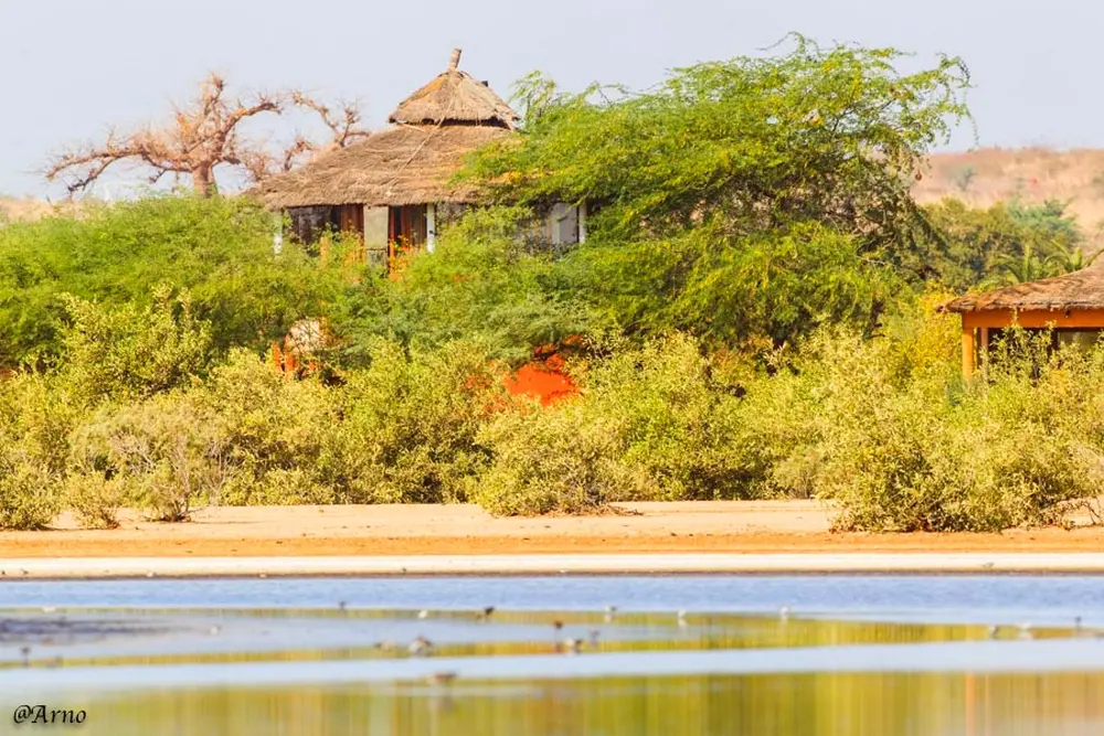 Hôtel Lodge Dalaal Diam à louer – Expérience écologique près de Saly et Somone